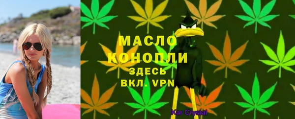 PSILOCYBIN Бородино